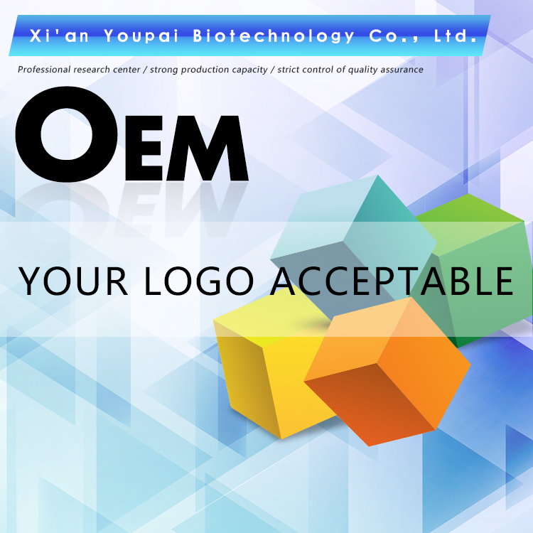 ICA OEM service